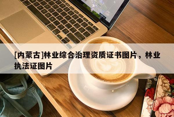 [內(nèi)蒙古]林業(yè)綜合治理資質(zhì)證書圖片，林業(yè)執(zhí)法證圖片